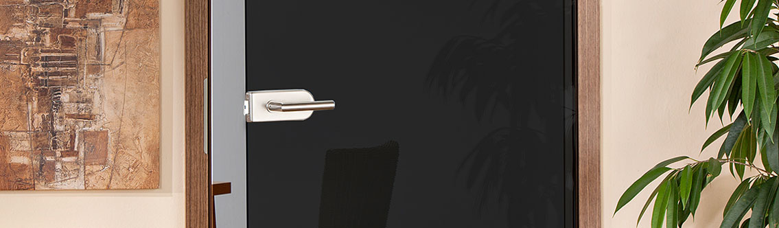 Glastüren Schwarz Glastüren Schwarz